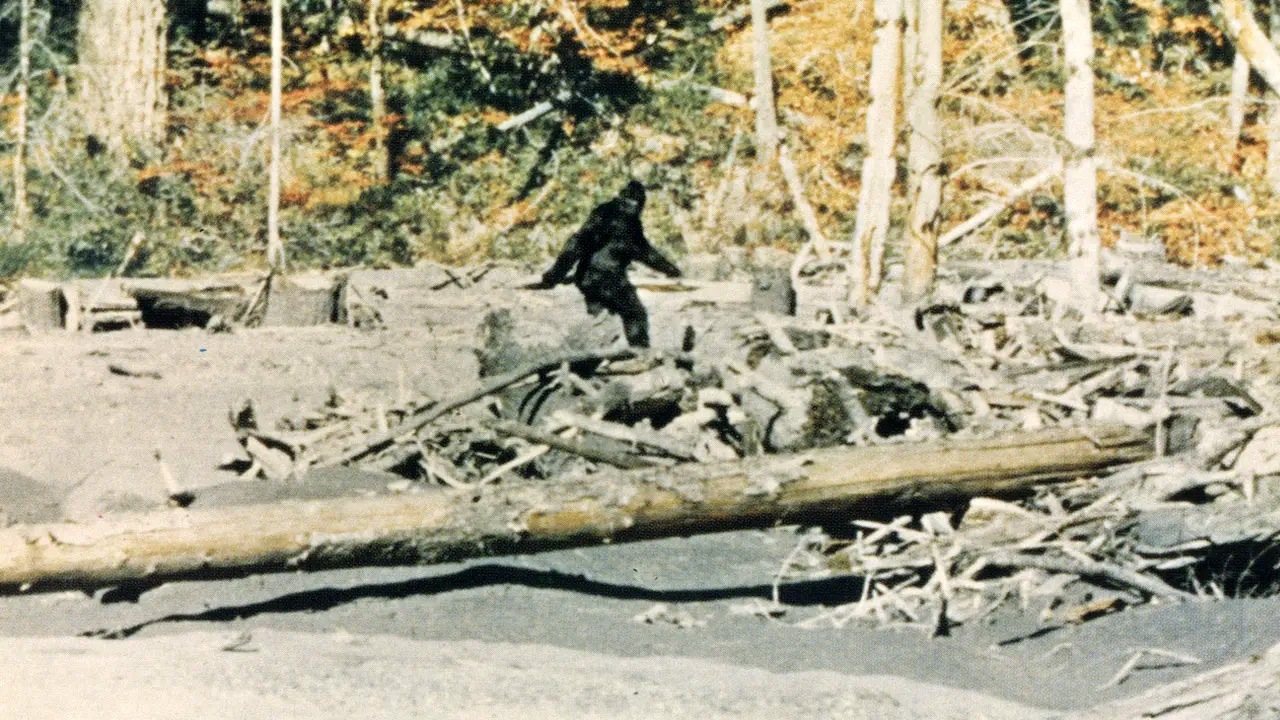 capturing bigfoot