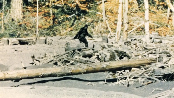 capturing bigfoot