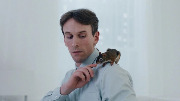 the squirrel orava
